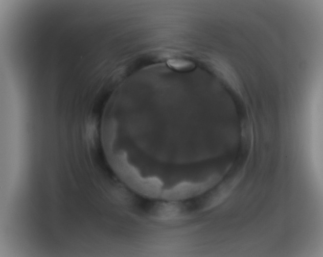 X0000113760127200909301117