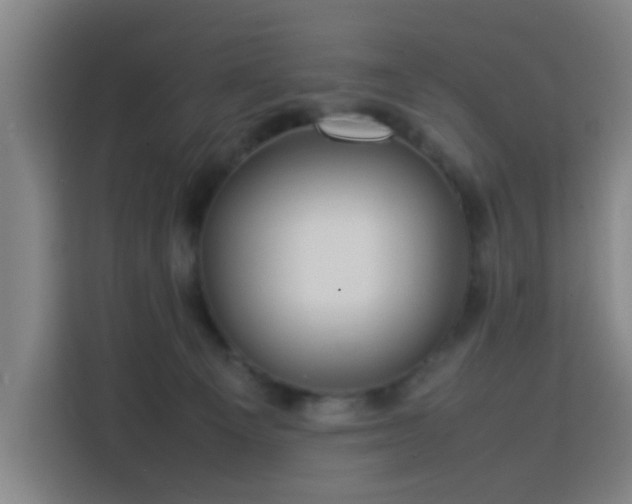 X0000113760129200909301117