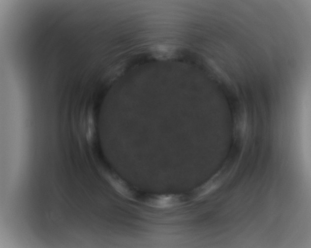 X0000113760130200909301117