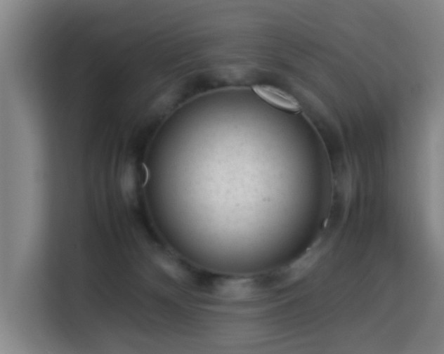 X0000113760132200909301117