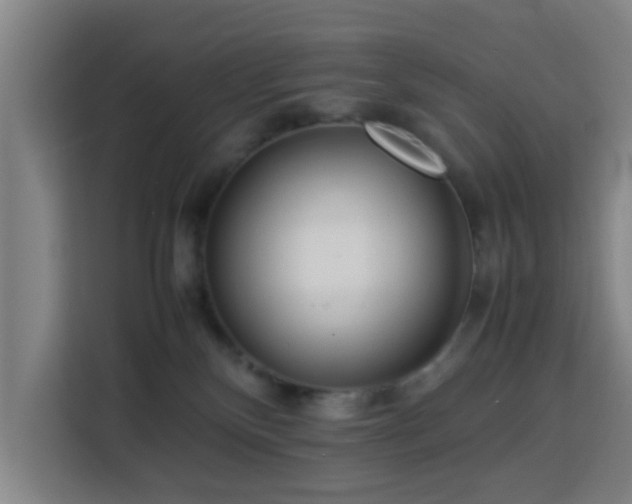 X0000113760136200909301117