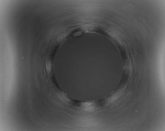 X0000113760139200909301117