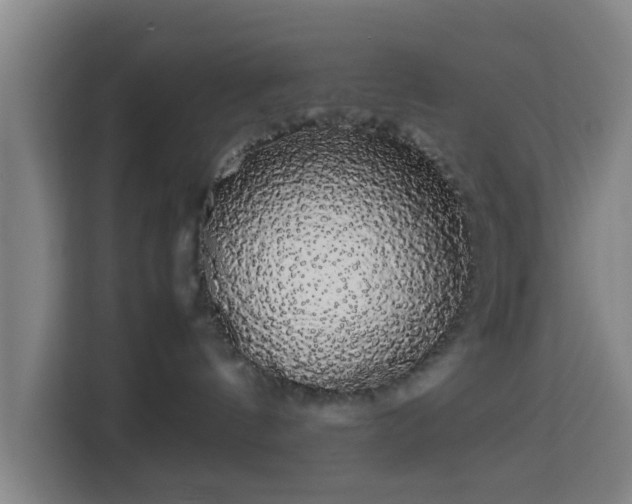 X0000113760144200909301117
