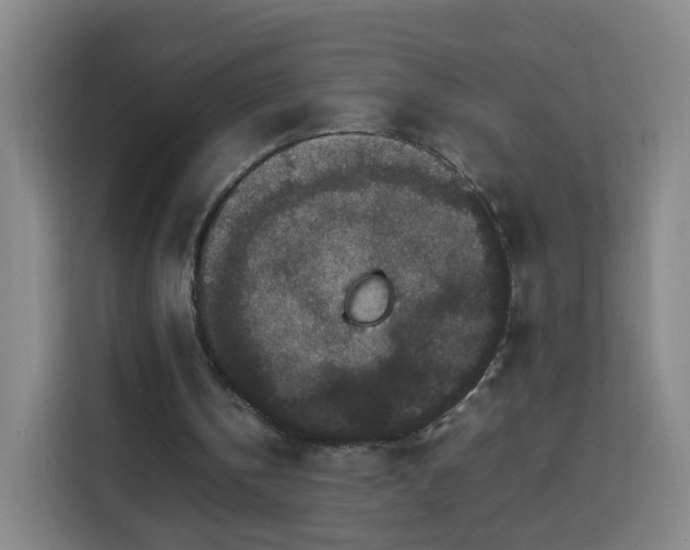 X0000113760146200909301116