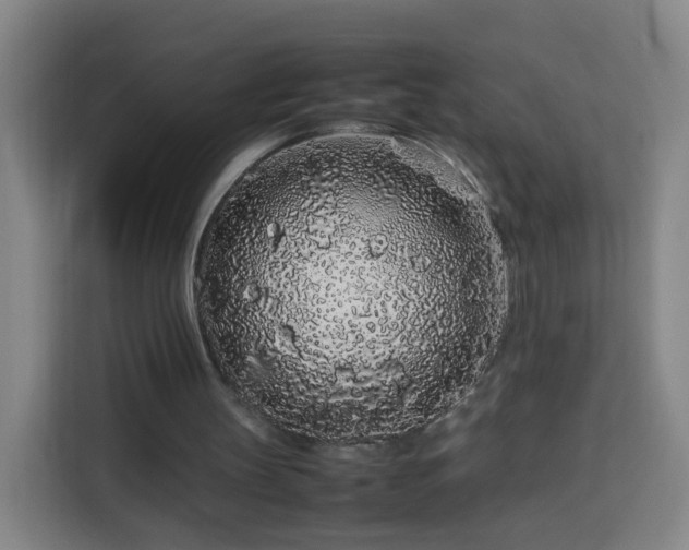 X0000113760147200909301116