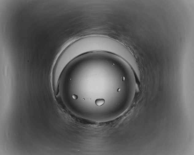 X0000113760148200909301116