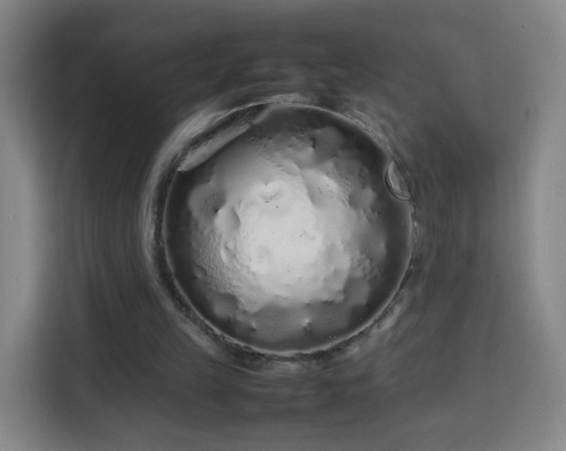 X0000113760149200909301116
