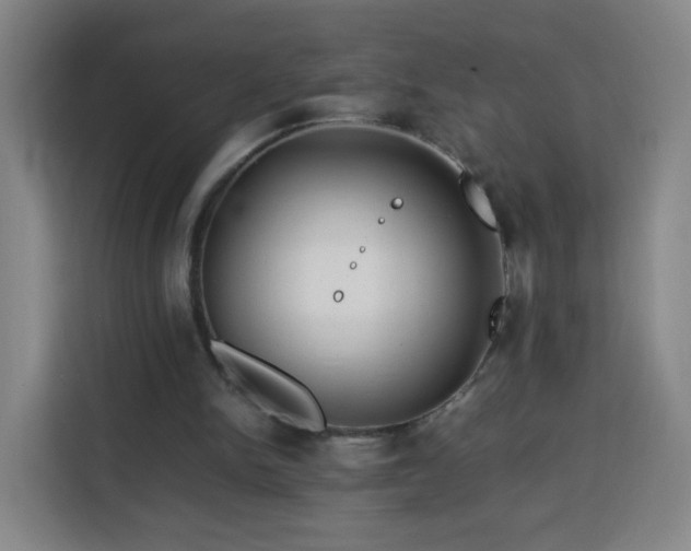 X0000113760150200909301116