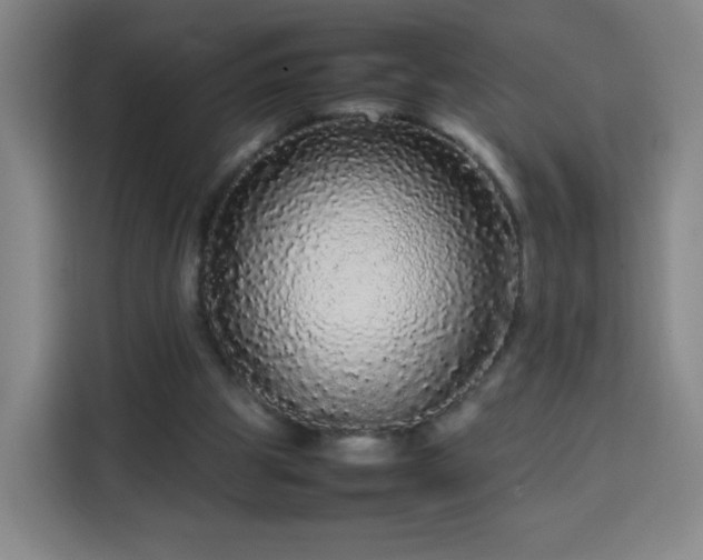X0000113760153200909301116