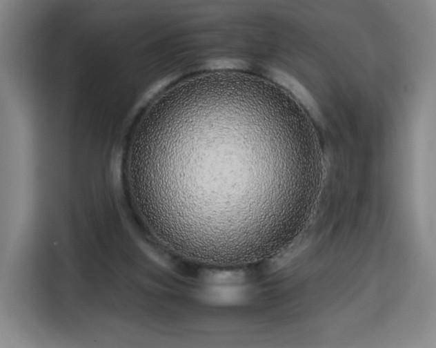 X0000113760155200909301116
