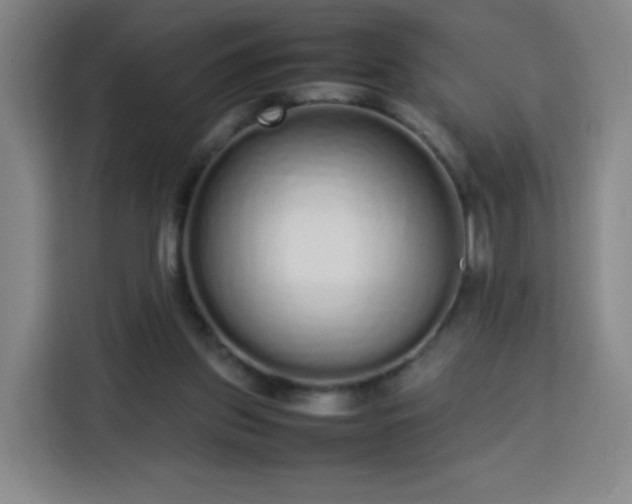 X0000113760157200909301116