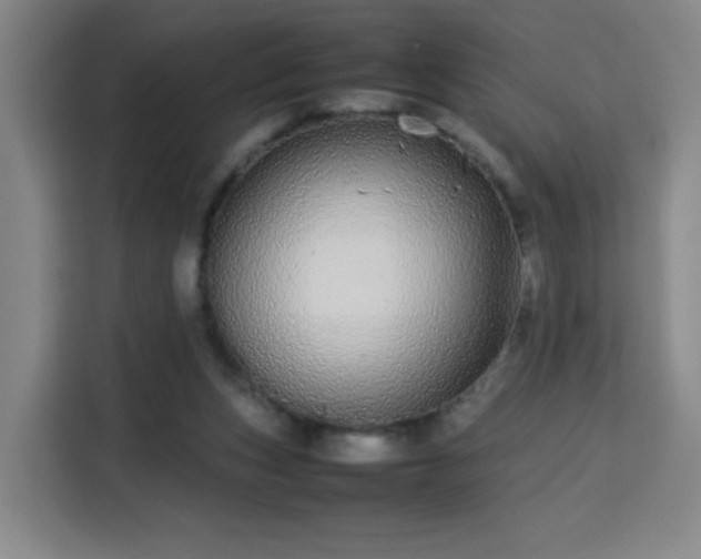 X0000113760159200909301116