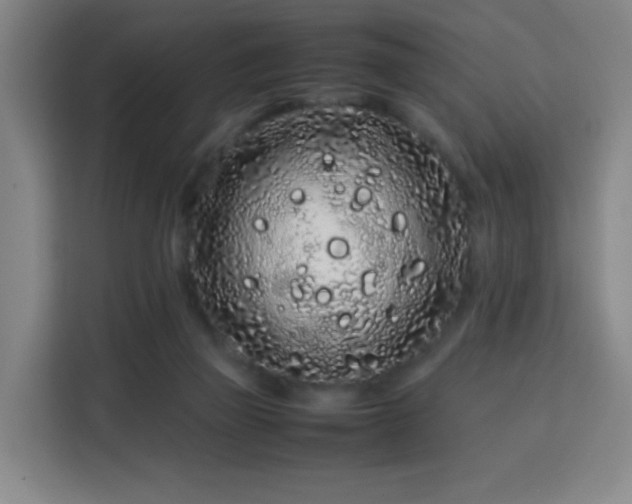 X0000113760165200909301116