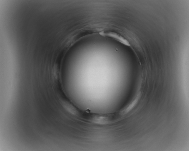 X0000113760174200909301116