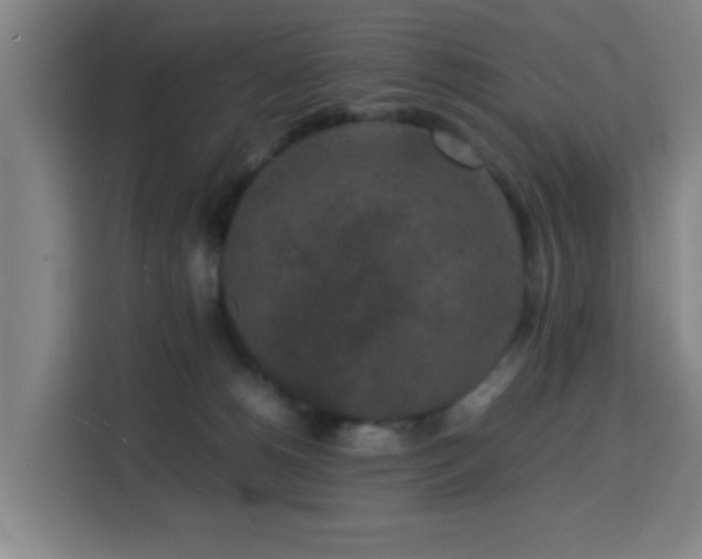 X0000113760180200909301117