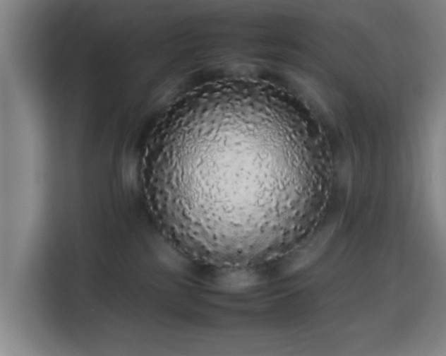 X0000113760185200909301117