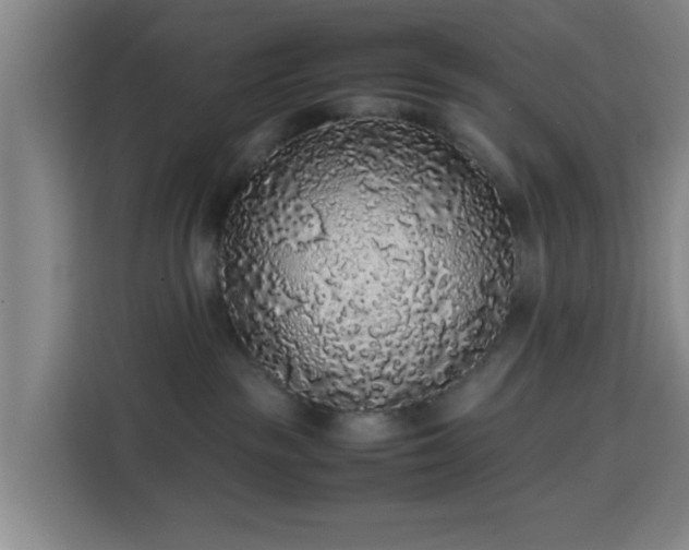 X0000113760189200909301117