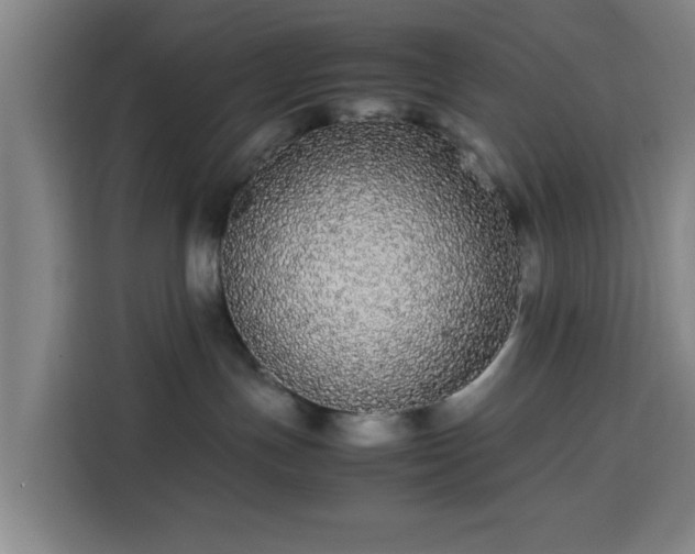 X0000113760191200909301117