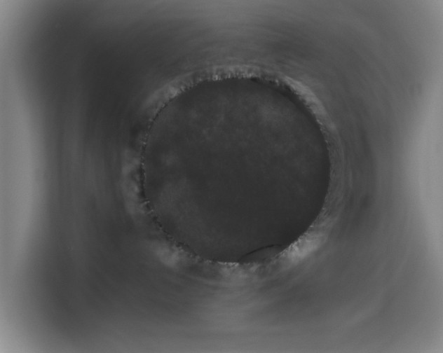 X0000113760192200909301117