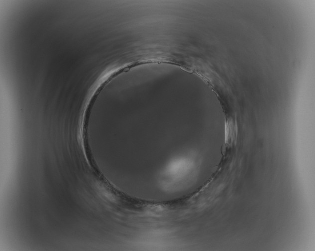 X0000113760195200909301116