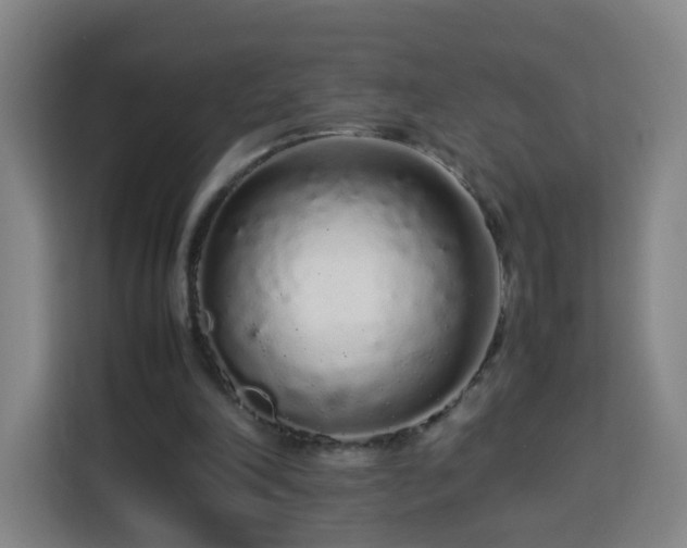 X0000113760198200909301116
