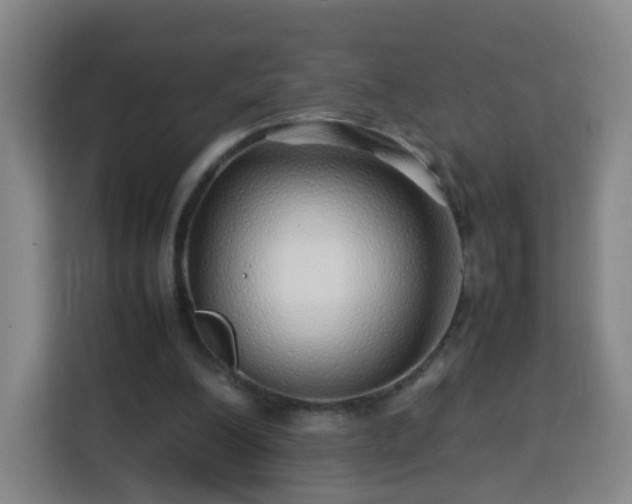 X0000113760200200909301116