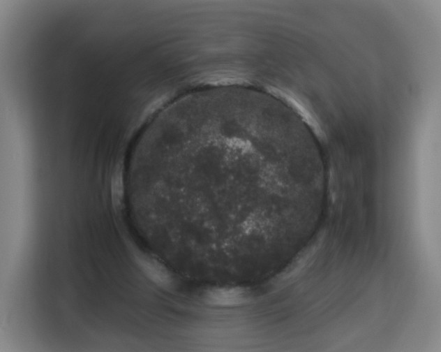 X0000113760202200909301116