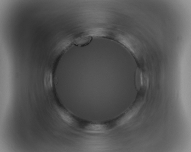 X0000113760205200909301116
