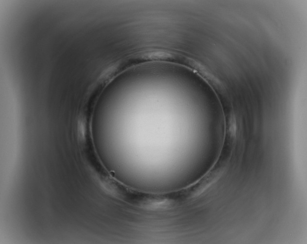 X0000113760206200909301116
