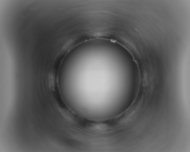 X0000113760210200909301116