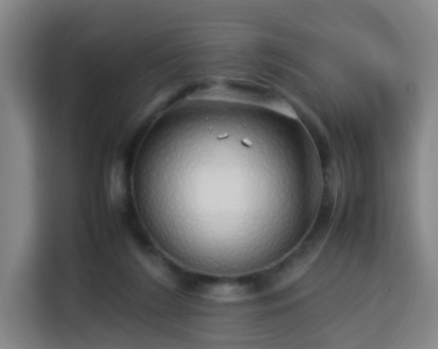 X0000113760212200909301116