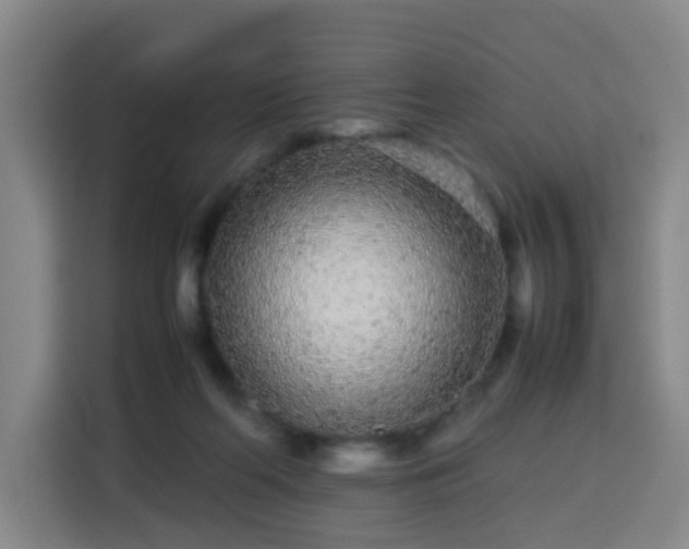 X0000113760214200909301116
