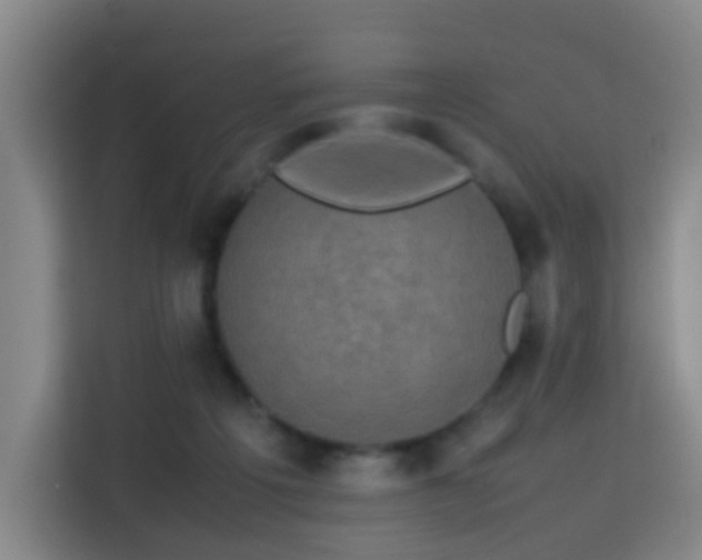 X0000113760217200909301116
