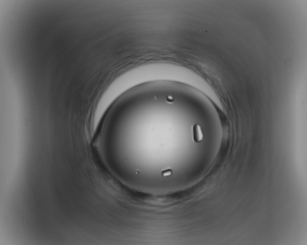 X0000113760221200909301116