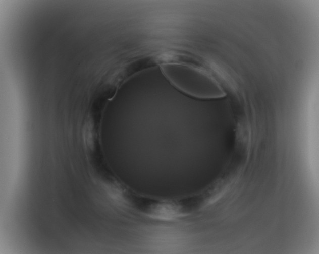X0000113760223200909301116