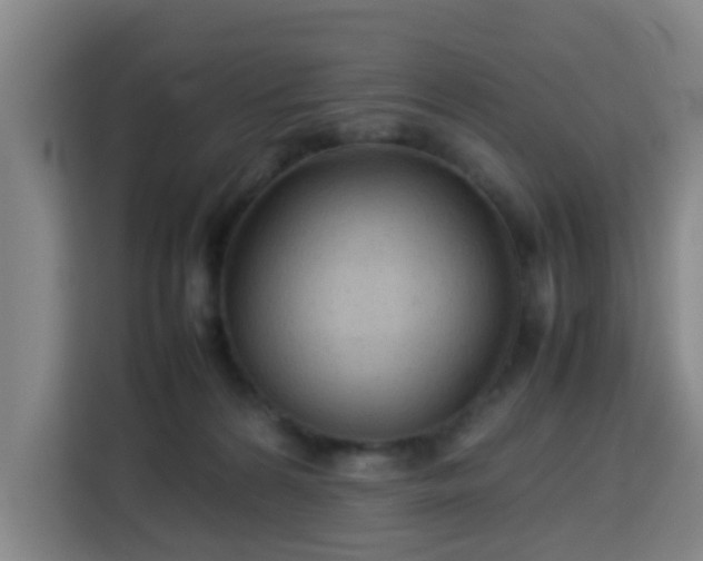 X0000113760224200909301116