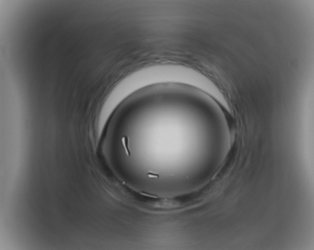X0000113760225200909301116