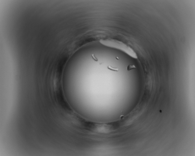 X0000113760226200909301116