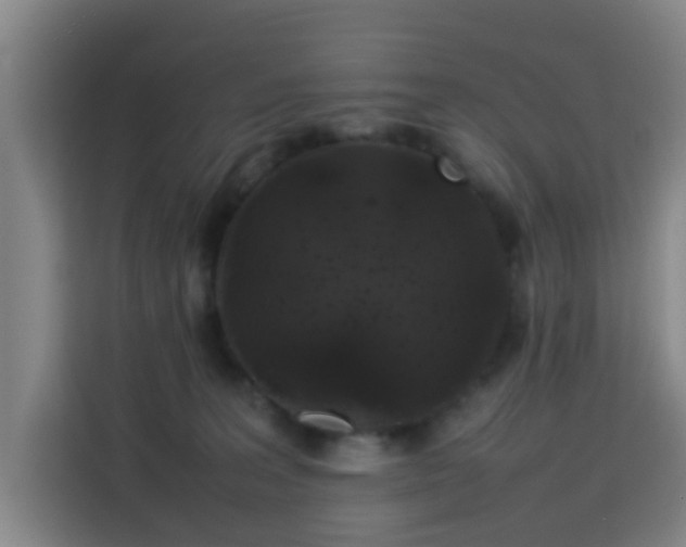 X0000113760227200909301116