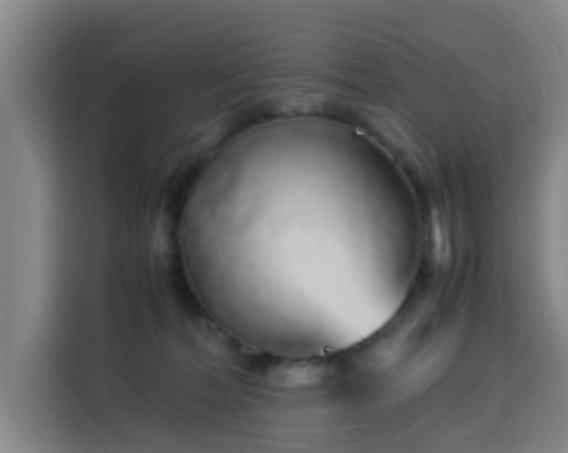 X0000113760228200909301116