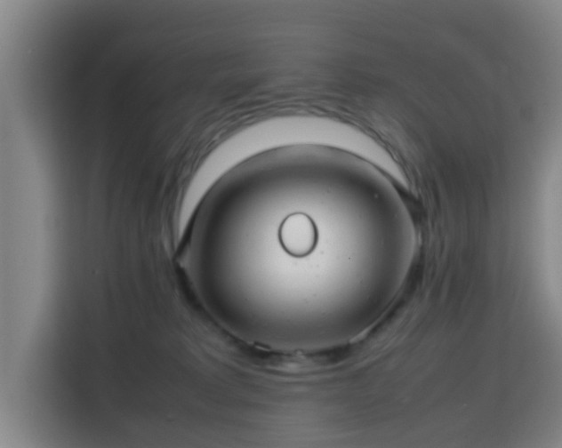X0000113760229200909301116