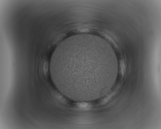X0000113760230200909301116