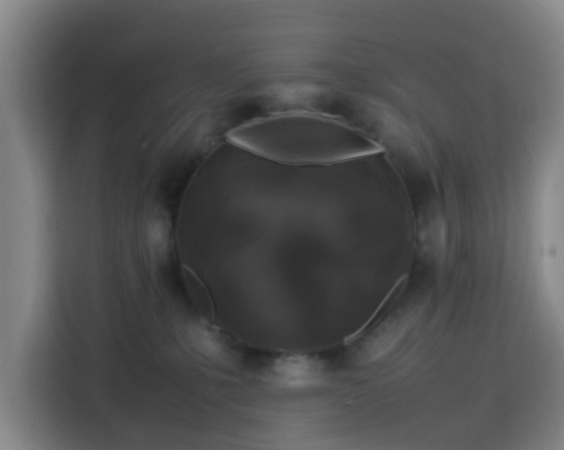 X0000113760231200909301116