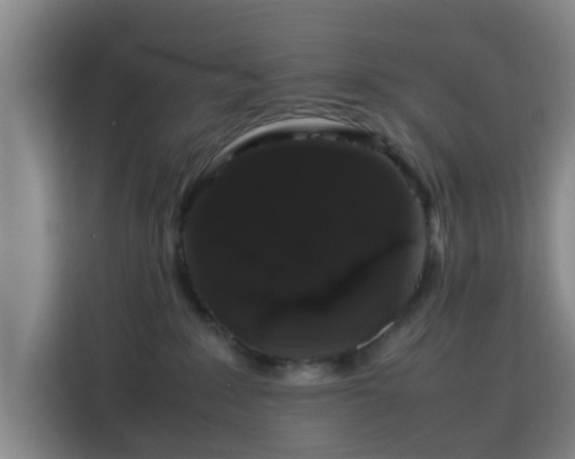 X0000113760235200909301115