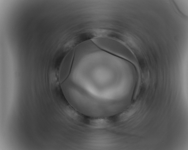 X0000113760237200909301115
