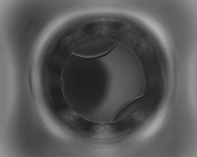 X0000113760239200909301115