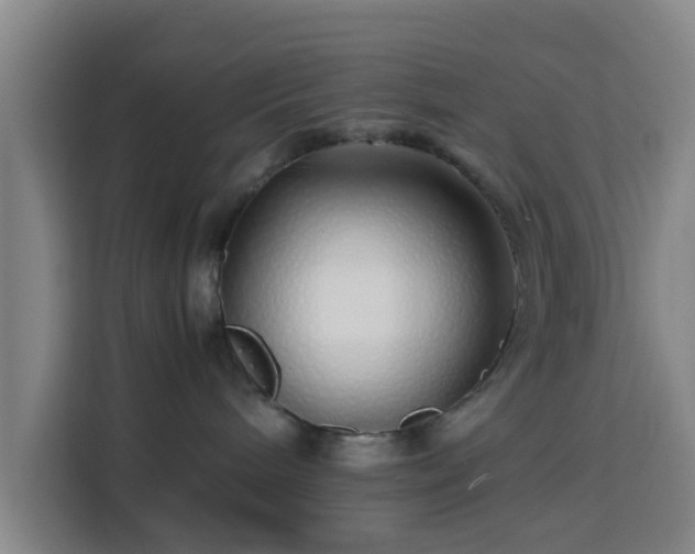 X0000113760240200909301115