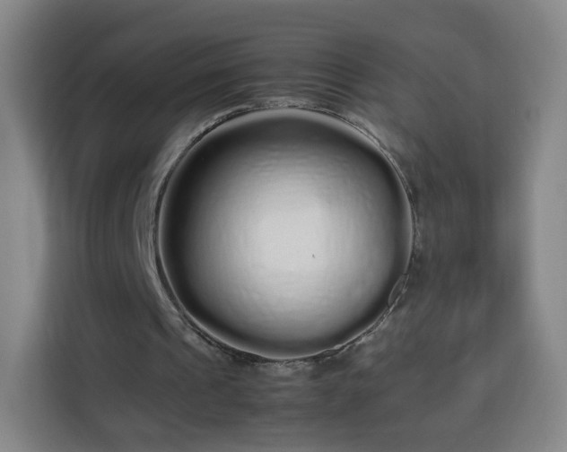 X0000113760241200909301115