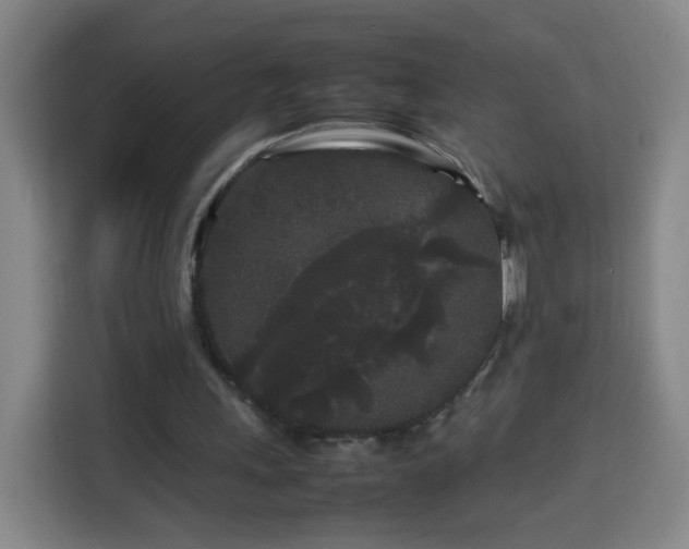 X0000113760243200909301115