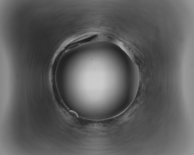 X0000113760244200909301115